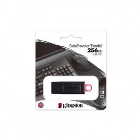 PENDRIVE KINGSTON 256Gb DTX 3.2 NG.
