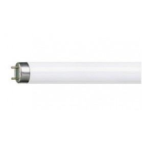 TUBO FLUOR ALG 30w/6500K 90cm