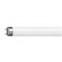 TUBO FLUOR ALG 30w/6500K 90cm