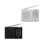 RADIO SANYO AM/FM HORIZ. KS106 NG