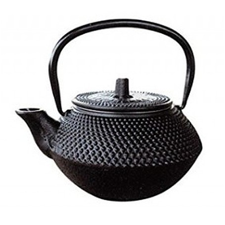 TETERA VIER HIERRO COLADO 0.3L NG.