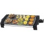 PLANCHA ASAR THULOS 2000W 47X27cm 2153