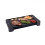 PLANCHA ASAR JATA 2600W 46X28 GR2851
